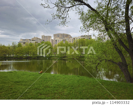 Spring park scenery of Izmailovo Park in Moscow, Russia. 114903332