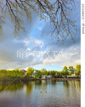 Trees reflection on the pond surface, spring park, lake, cloudy sky. Trees reflection on the pond surface, spring park, lake, cloudy sky. 114903335