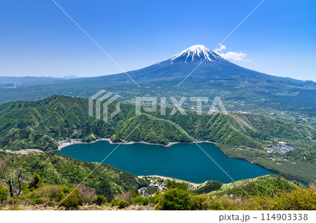 山梨県・雪頭ヶ岳より望む初夏の富士山と西湖 114903338