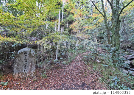 福岡県築上町の山間にある城井ノ上城址登り口 福岡県築上町の山間にある城井ノ上城址登り口 114903353