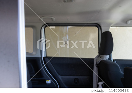 車内に巣を作っているジョロウグモ 車内に巣を作っているジョロウグモ 114903458