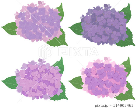 紫系紫陽花4色セット(A) 紫系紫陽花4色セット(A) 114903463