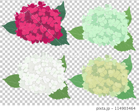 繡球花4色套裝（A） 114903464