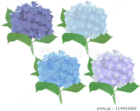 青系紫陽花茎付き四色セット(B) 青系紫陽花茎付き四色セット(B) 114903668