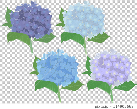 青系紫陽花茎付き四色セット(B) 青系紫陽花茎付き四色セット(B) 114903668