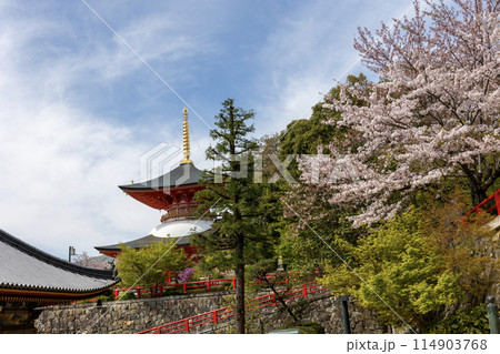 兵庫県／中山寺の大願塔（2024年04月13日撮影） 114903768