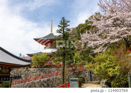 兵庫県／中山寺の後方から見た本堂（2024年04月13日撮影） 114903769