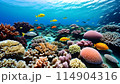 綺麗な珊瑚礁が広がる海中のイラスト 114904316
