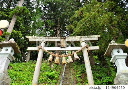 福島県会津若松市湊町のパワースポット　下馬渡熊野神社の森 114904930