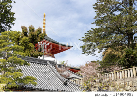 兵庫県／中山寺の大願塔（2024年04月13日撮影） 114904985