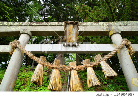 福島県会津若松市湊町のパワースポット　下馬渡熊野神社の森 114904987