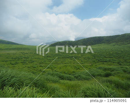 阿蘇の草千里ヶ浜 阿蘇の草千里ヶ浜 114905091