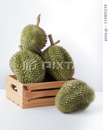 Ripe durian, both pods and stalks In an agricultural wooden pickup on a white background. Ripe durian, both pods and stalks In an agricultural wooden pickup on a white background. 114905239