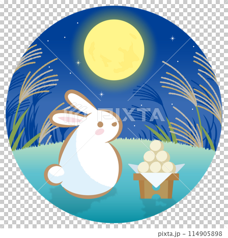 A rabbit watching the moon in a silver grass field at night (circle cut) 114905898