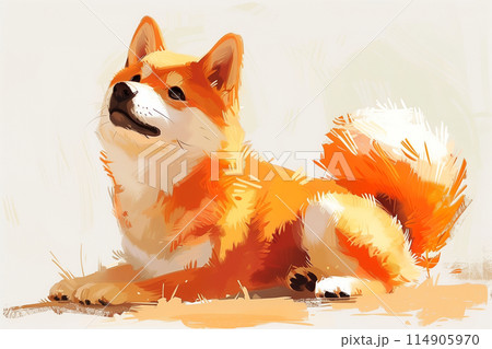 陽だまりの柴犬 114905970