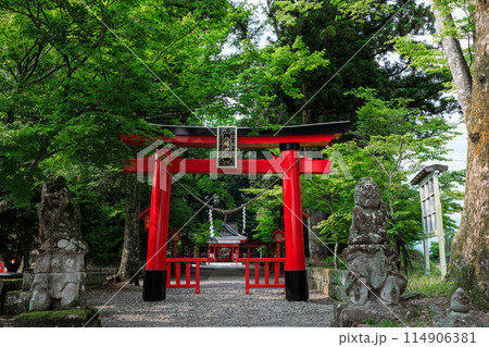 「焼酎」文字日本最古　郡山八幡神社 114906381