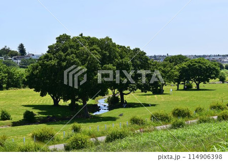 木陰から見える風景 114906398