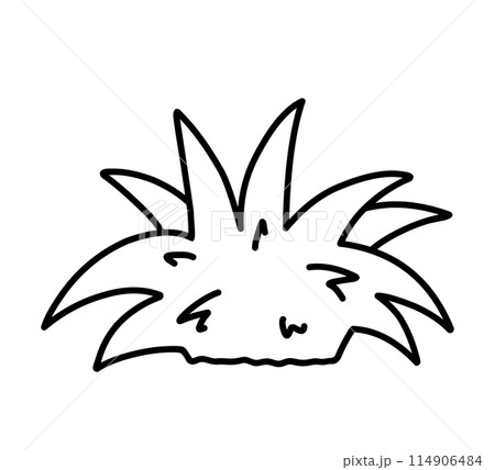 Bush isolated on a white background 114906484
