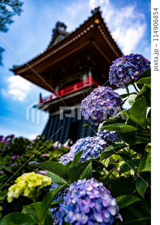 梅雨時のあじさい寺 114906854
