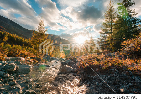 Sunset shining over Matterhorn mountain with waterfall flowing in autumn forest at Switzerland Sunset shining over Matterhorn mountain with waterfall flowing in autumn forest at Switzerland 114907795