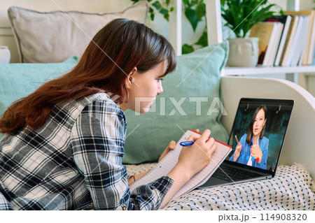 Young female on online therapy with psychologist, psychotherapist Young female on online therapy with psychologist, psychotherapist 114908320
