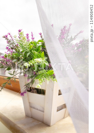Artificial plant purple flower on window sill Artificial plant purple flower on window sill 114908452