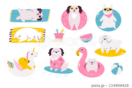 Set of hand drawn vector dogs doing summer activities and swimming 114909428