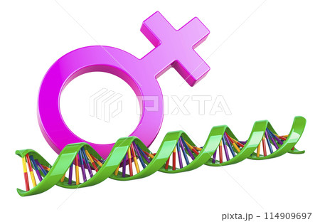 DNA spiral with female gender symbol. DNA Testing, concept. 3D rendering DNA spiral with female gender symbol. DNA Testing, concept. 3D rendering 114909697