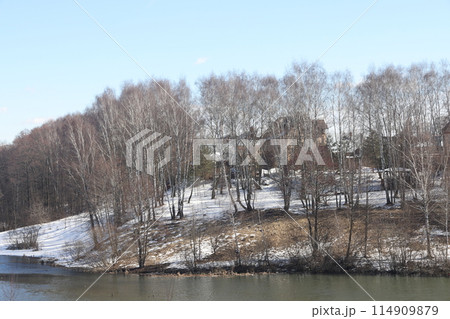Sunny April day on the shore of the lake. Bare branches of bushes and birches. Blue sky. Sunny April day on the shore of the lake. Bare branches of bushes and birches. Blue sky. 114909879