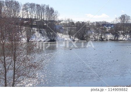 Sunny April day on the shore of the lake. Bare branches of bushes and birches. Blue sky. Sunny April day on the shore of the lake. Bare branches of bushes and birches. Blue sky. 114909882