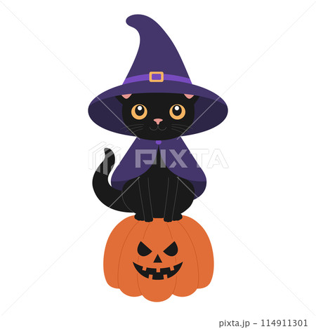 Cute black cat in witch hat and mantle sitting on scary pumpkin. Halloween design with animal. Vector flat illustration for banner, poster, greeting card 114911301
