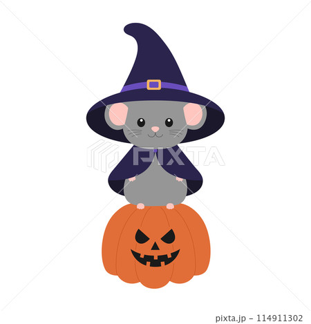 Cute little mouse in witch hat and mantle standing on scary pumpkin. Halloween design with animal. Vector flat illustration for banner, poster, greeting card 114911302