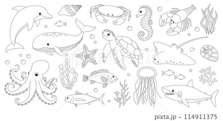 Sea and ocean animals coloring page. Cute dolphin, whale, crab, seahorse, starfish, lobster, turtle, stingray, octopus, shark, jellyfish and fish. Marine creatures outline set. Coloring book for print 114911375
