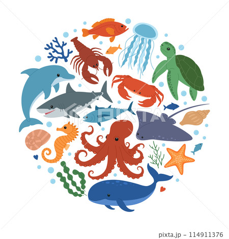 Sea and ocean animals in circle shape. Cute dolphin, whale, crab, seahorse, starfish, lobster, turtle, stingray, octopus, shark, jellyfish and fish. Wild marine creatures. Vector illustration 114911376