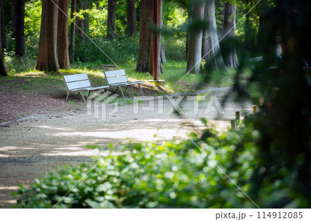長居植物園の景色 114912085