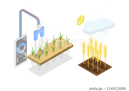 3D Isometric Flat Illustration of Soil Moisture Sensor, Smart Farming 3D Isometric Flat Illustration of Soil Moisture Sensor, Smart Farming 114912680