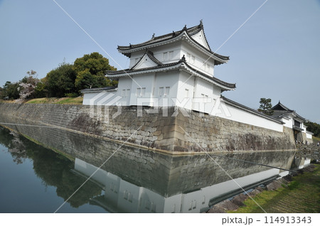 二条城2024年 二条城2024年 114913343