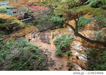 伊香保温泉の源泉近く 伊香保温泉の源泉近く 114914808