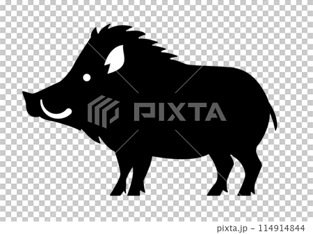 Wild boar silhouette Wild boar silhouette 114914844