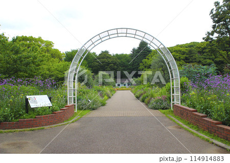 代々木公園/東京都渋谷区代々木神園町 代々木公園/東京都渋谷区代々木神園町 114914883