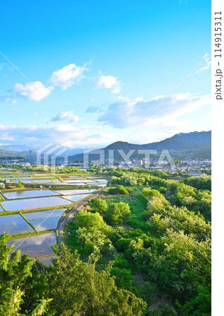 谷川連峰　三峰山　山並　月夜野大橋から田園風景　　　 114915311