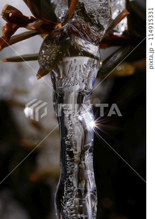 氷柱 114915331