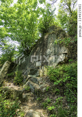 因島 白滝山参道 塩竈さん 広島県尾道市 因島 白滝山参道 塩竈さん 広島県尾道市 114915981