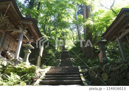 羽黒山参道 羽黒山参道 114916013