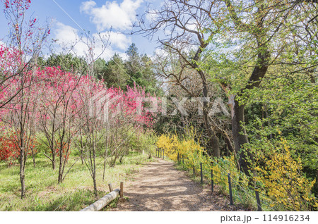 福島 花やしき公園(福島市) 福島 花やしき公園(福島市) 114916234