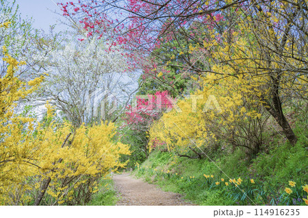 福島 花やしき公園(福島市) 福島 花やしき公園(福島市) 114916235