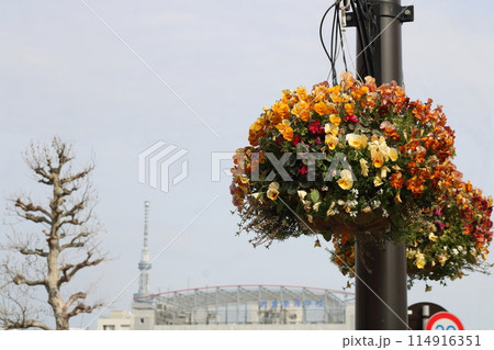 花のある風景街灯に飾られた可愛い花花 114916351