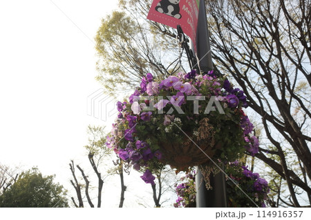 花のある風景街灯に飾られた可愛い花花 114916357
