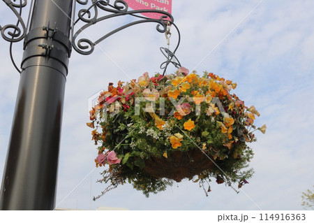 花のある風景街灯に飾られた可愛い花花 花のある風景街灯に飾られた可愛い花花 114916363