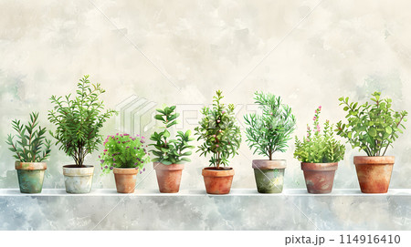 A row of houseplants are neatly lined up on a shelf, showcasing a variety of terrestrial plants in flowerpots. The display includes shrubs, grasses, and groundcover in rectangular pots 114916410